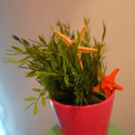 Vandrarhem Fisherman's House